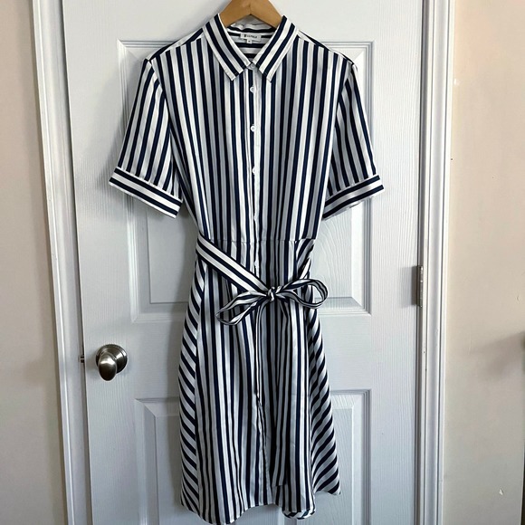 Lilly Silk Amalfi Stripe Silk Shirtdress with Belt and Pockets! - Picture 2 of 10